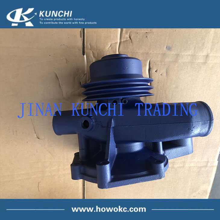 61800061007 weichai pump sinotruk howo a7