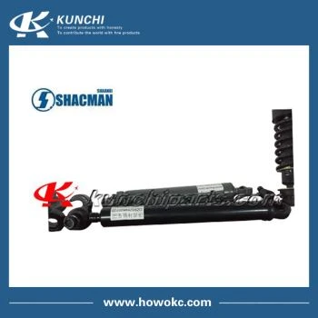 SHACMAN Delong DZ93259820120 DZ93259820120
