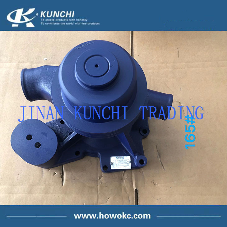 Sinotruk HOWO 61800061007 Weichai Pump For The Engine Parts With Good Price